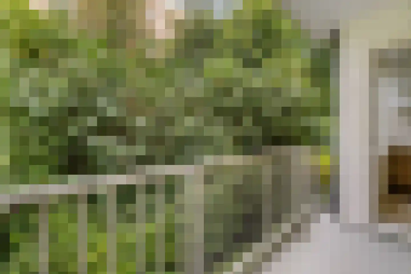 Jan Campertplein 1 Weesp thumbnail 22