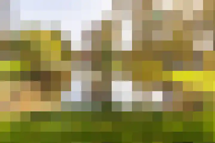 Jan Campertplein 13 Weesp thumbnail 36