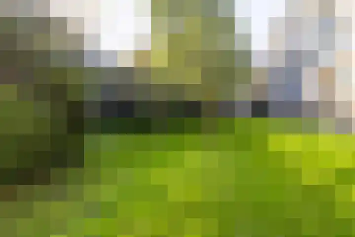 Jan Campertplein 13 Weesp thumbnail 38