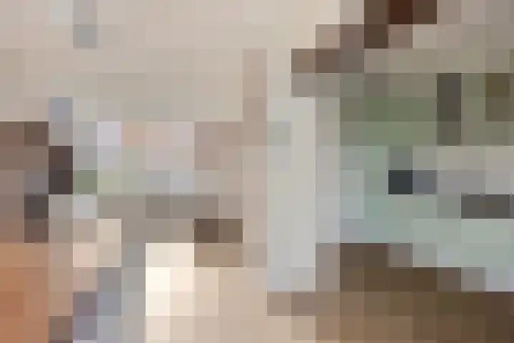 Jan Campertstraat 18 Best thumbnail 20