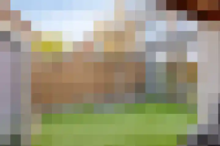 Jan Campertstraat 18 Best thumbnail 38