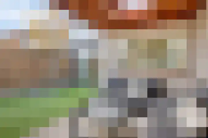 Jan Campertstraat 18 Best thumbnail 41