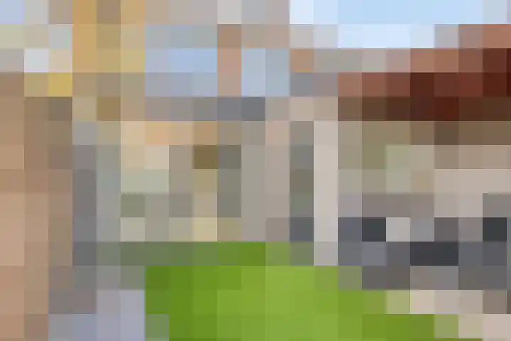 Jan Campertstraat 18 Best thumbnail 5