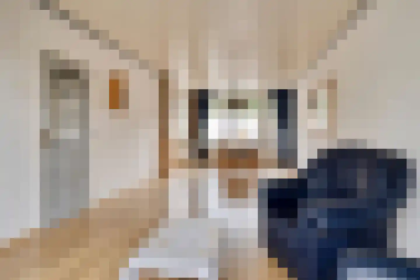 Jan Campertstraat 19 Best thumbnail 13