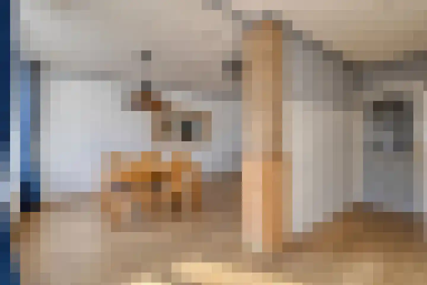 Jan Campertstraat 19 Best thumbnail 17