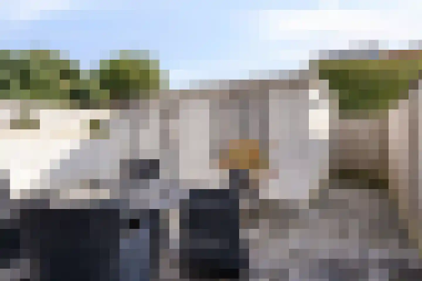 Jan Campertstraat 19 Best thumbnail 26