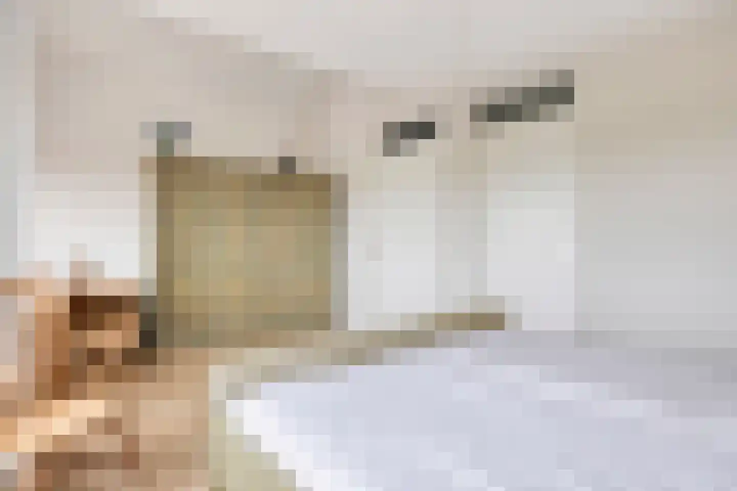 Jan Campertstraat 2 R Best thumbnail 25