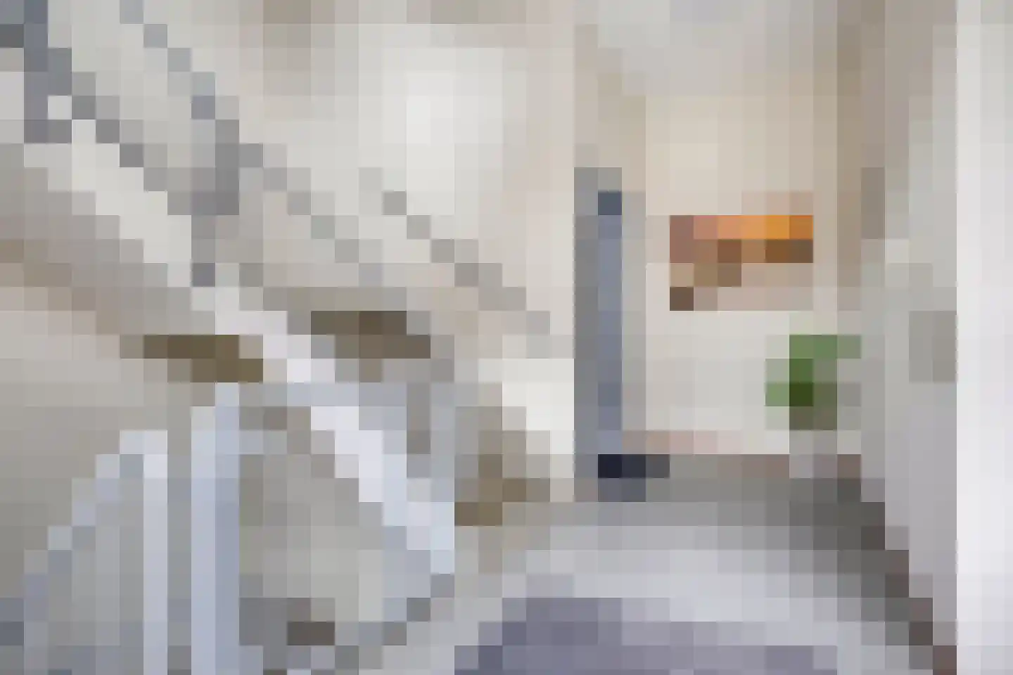 Jan Campertstraat 2 R Best thumbnail 7