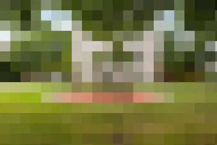 Jan Campertstraat 58 Haarlem thumbnail 31