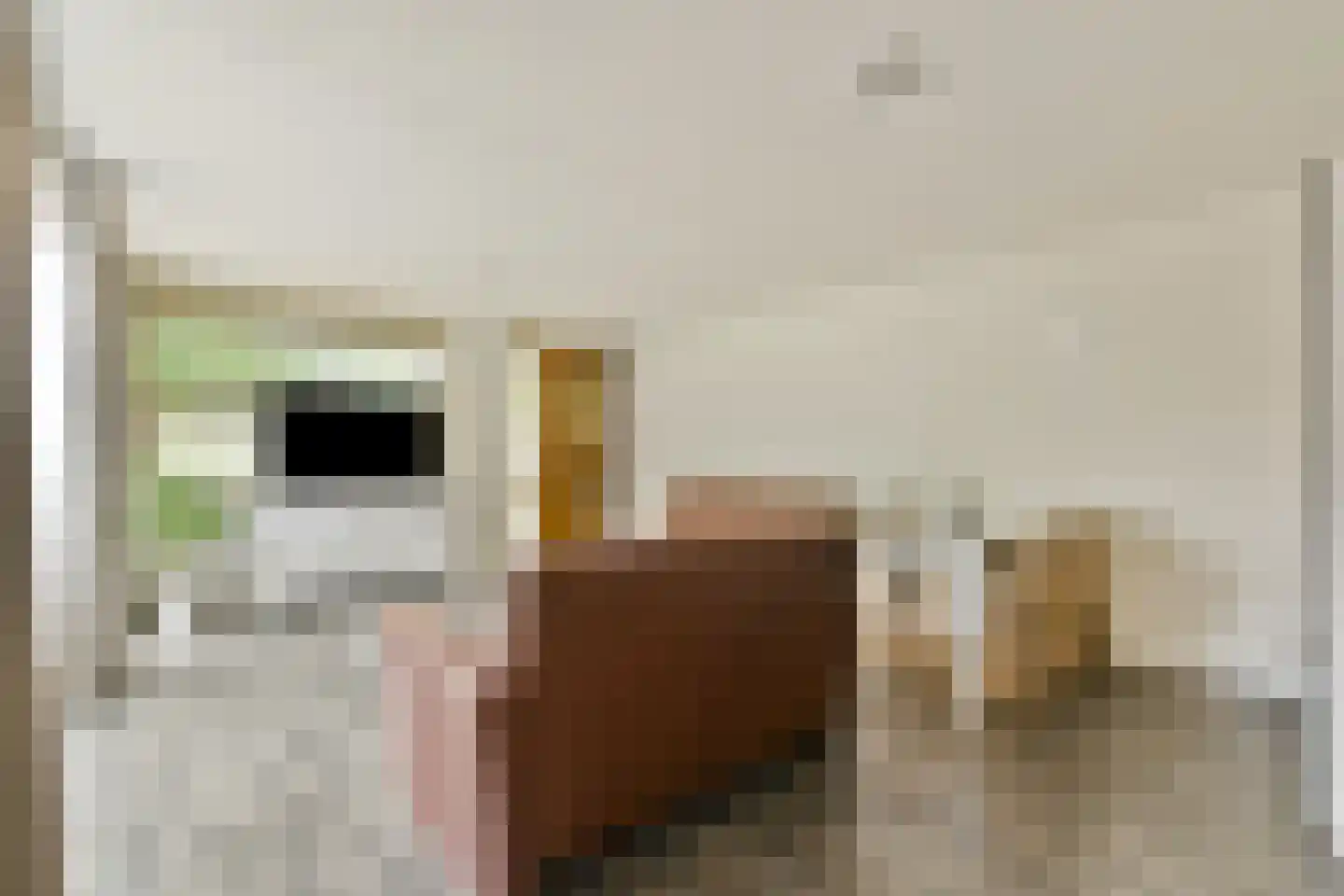 Jan Campertstraat 9 Almere foto 3