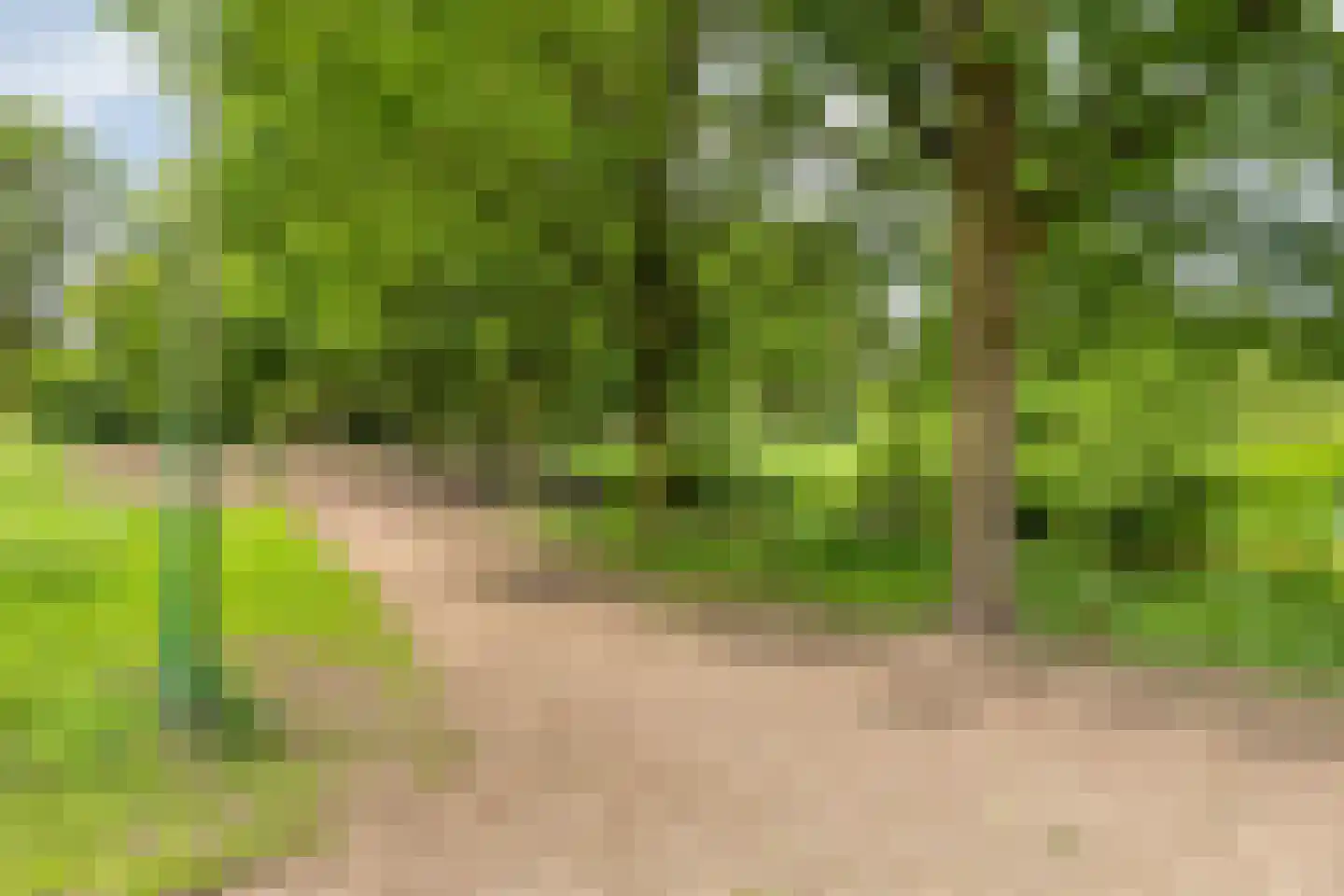 Jan Campertweg 3 Veenendaal thumbnail 31