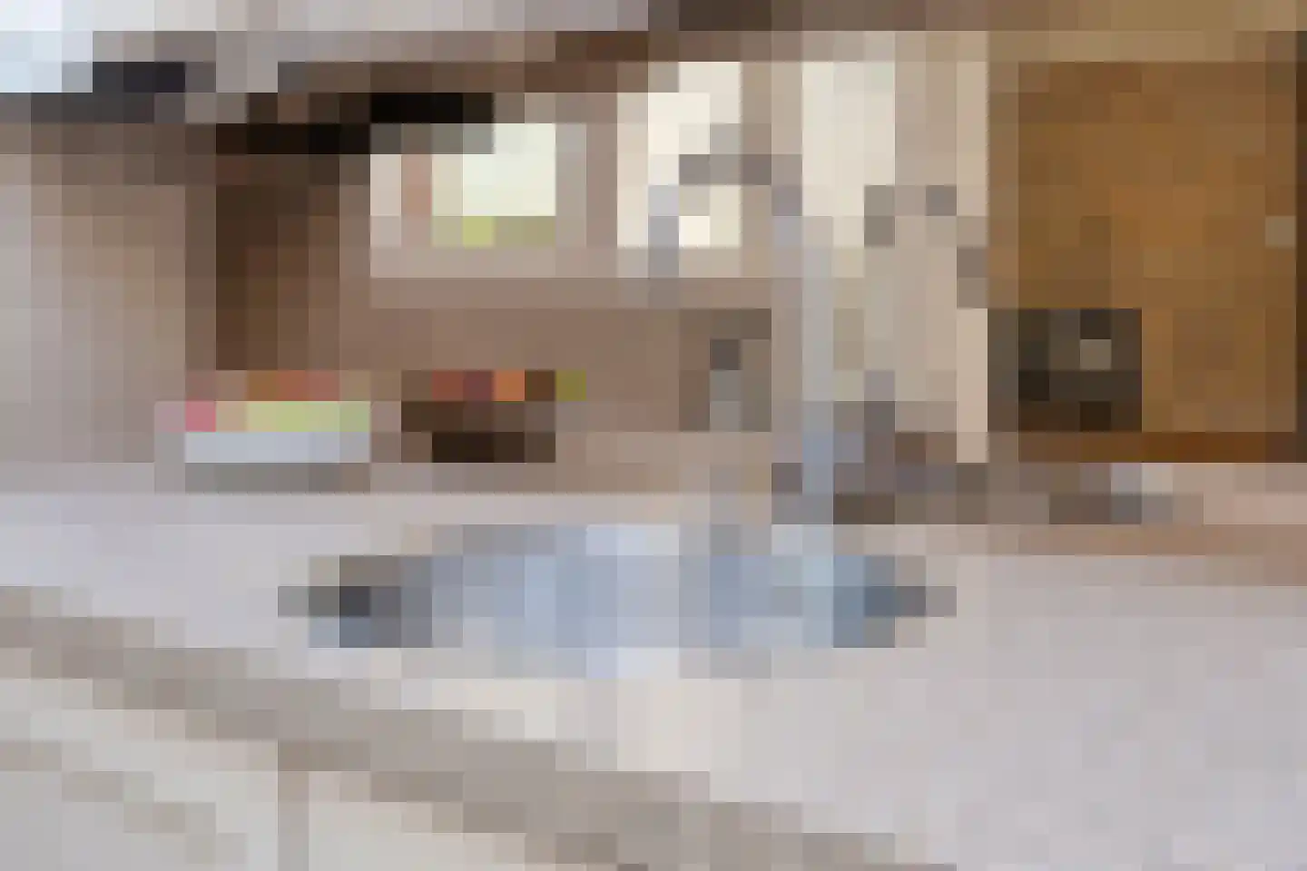 Jan Cellierslaan 13 Eindhoven thumbnail 13
