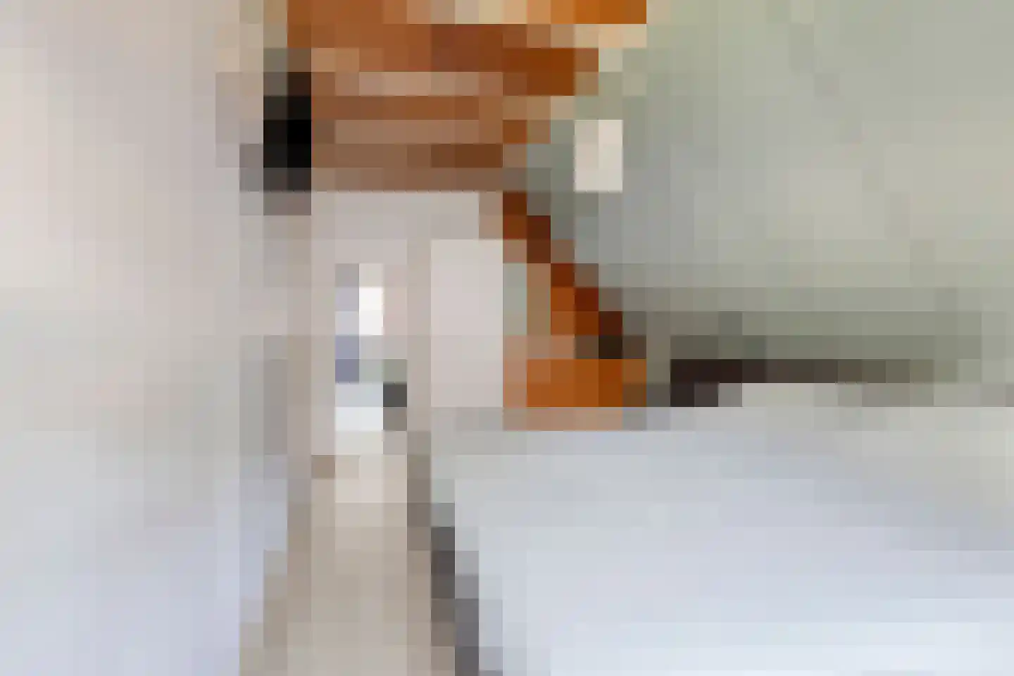 Jan Cellierslaan 13 Eindhoven thumbnail 17