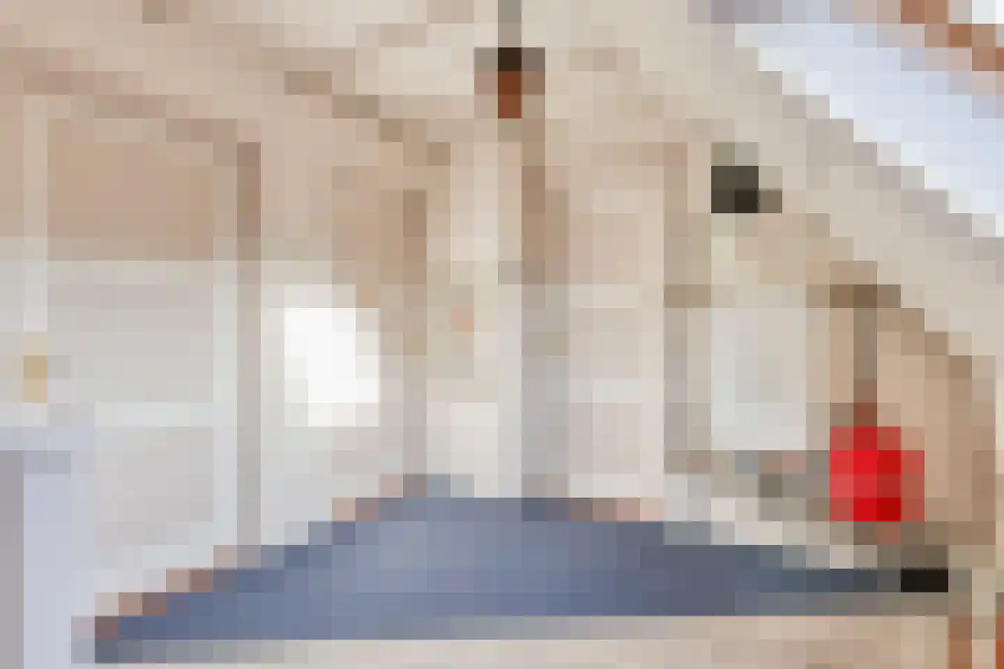 Jan Cellierslaan 13 Eindhoven thumbnail 18