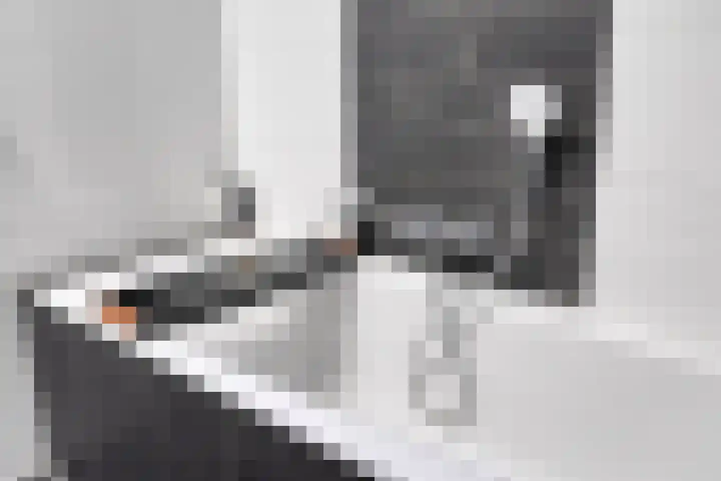 Jan Cellierslaan 13 Eindhoven thumbnail 23