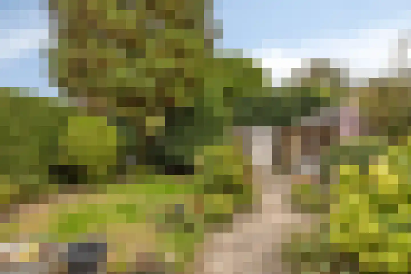 Jan Cellierslaan 13 Eindhoven thumbnail 26