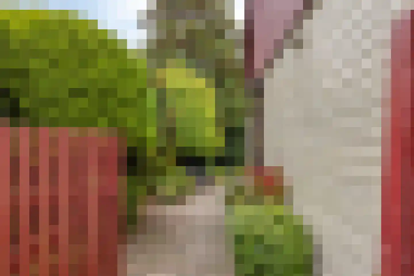 Jan Cellierslaan 13 Eindhoven thumbnail 32