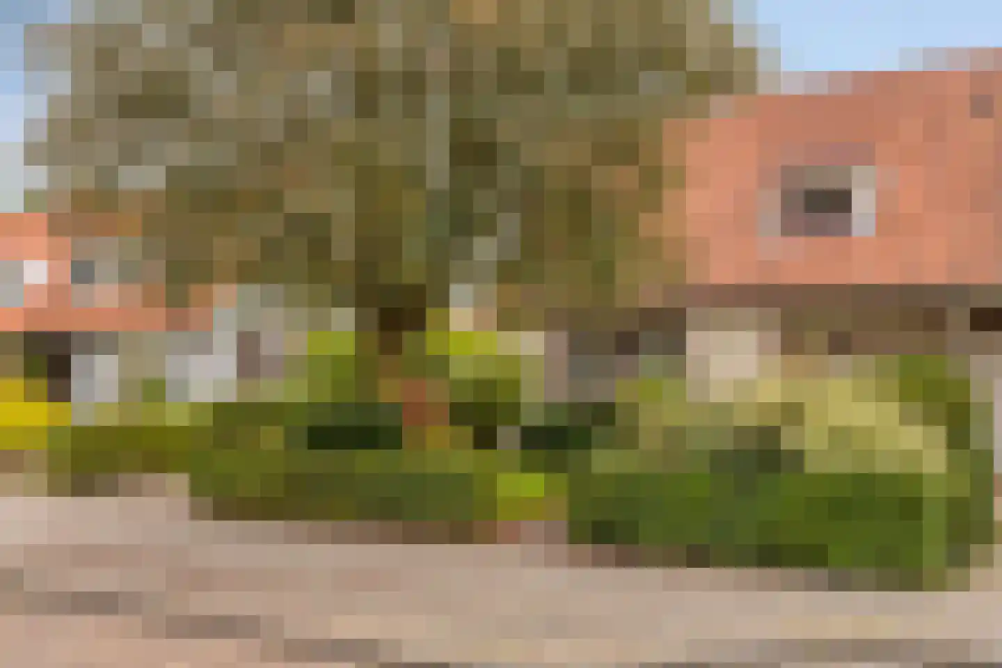 Jan Cellierslaan 13 Eindhoven thumbnail 41