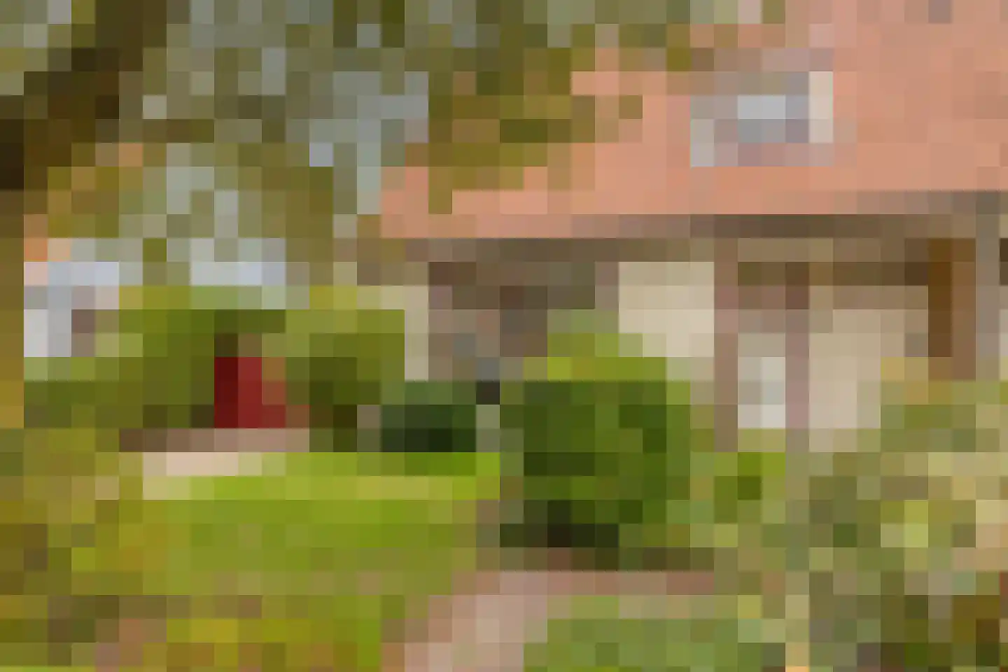 Jan Cellierslaan 13 Eindhoven thumbnail 42