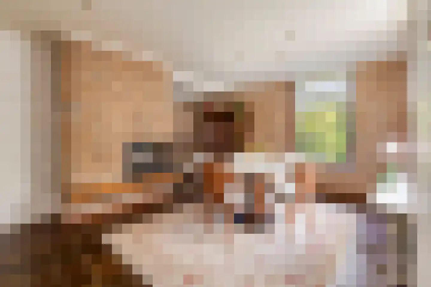 Jan Cellierslaan 13 Eindhoven thumbnail 8