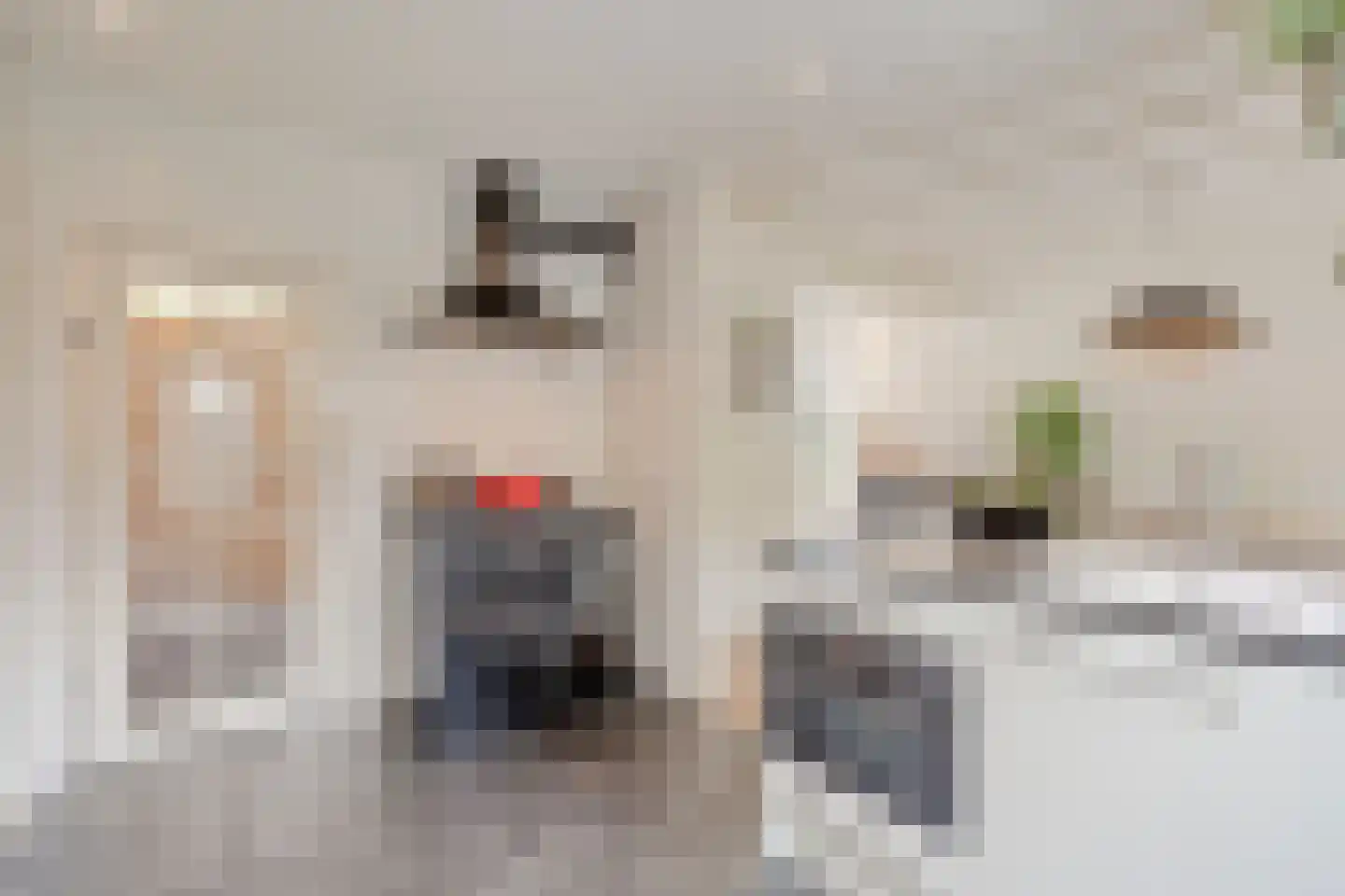 Jan Cellierslaan 4 Eindhoven thumbnail 13