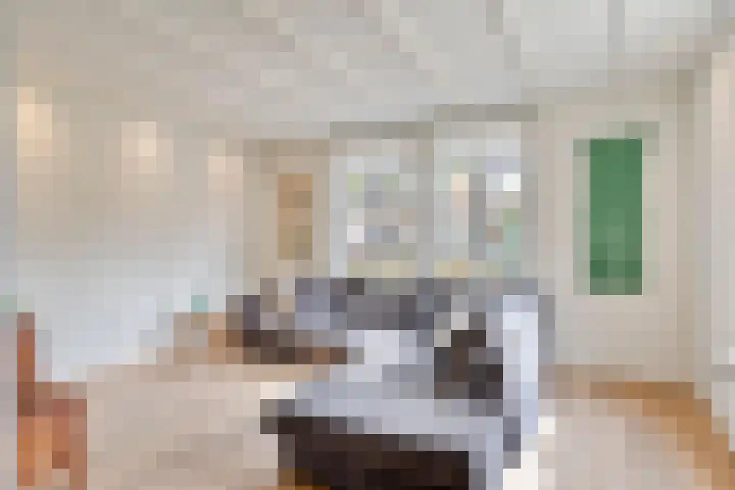 Jan Cellierslaan 4 Eindhoven thumbnail 15