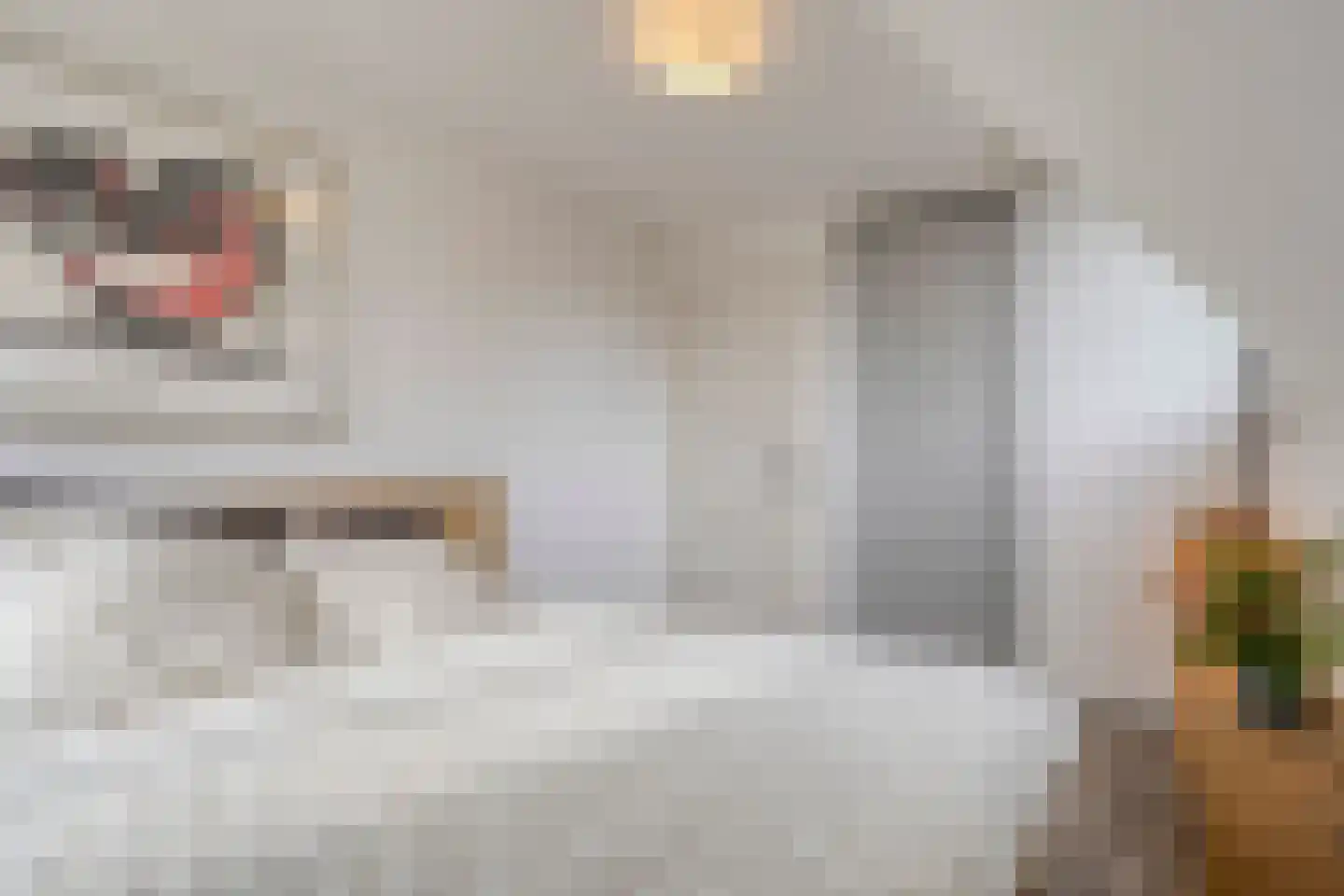 Jan Cellierslaan 4 Eindhoven thumbnail 24