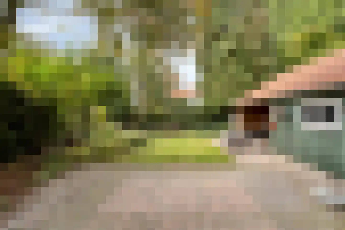 Jan Cellierslaan 4 Eindhoven thumbnail 29