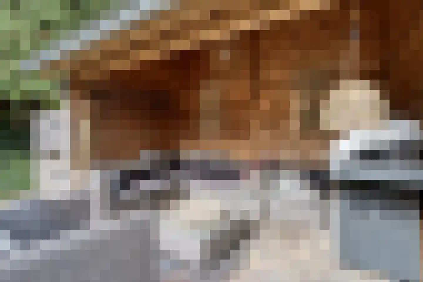 Jan Cellierslaan 4 Eindhoven thumbnail 34