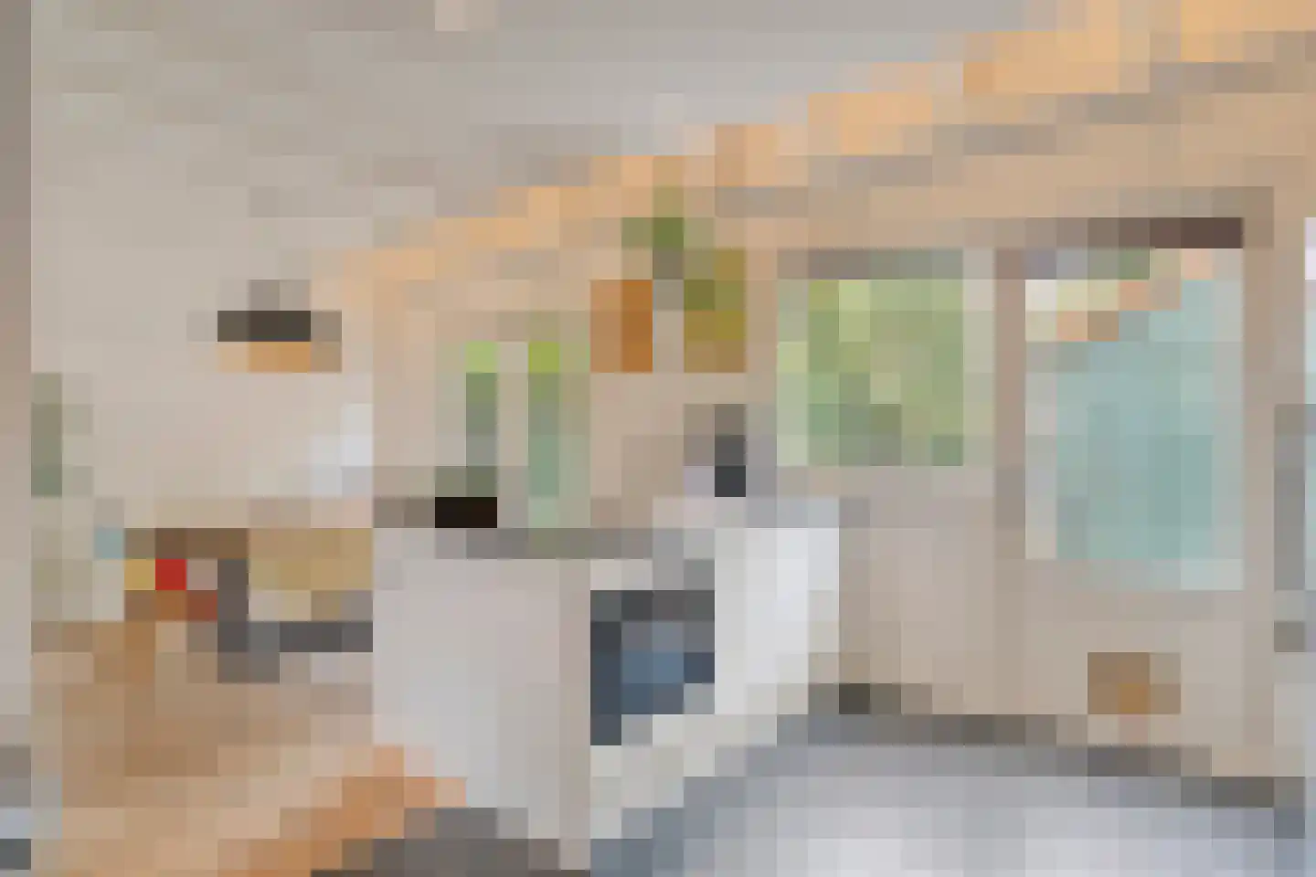 Jan Cellierslaan 4 Eindhoven thumbnail 5
