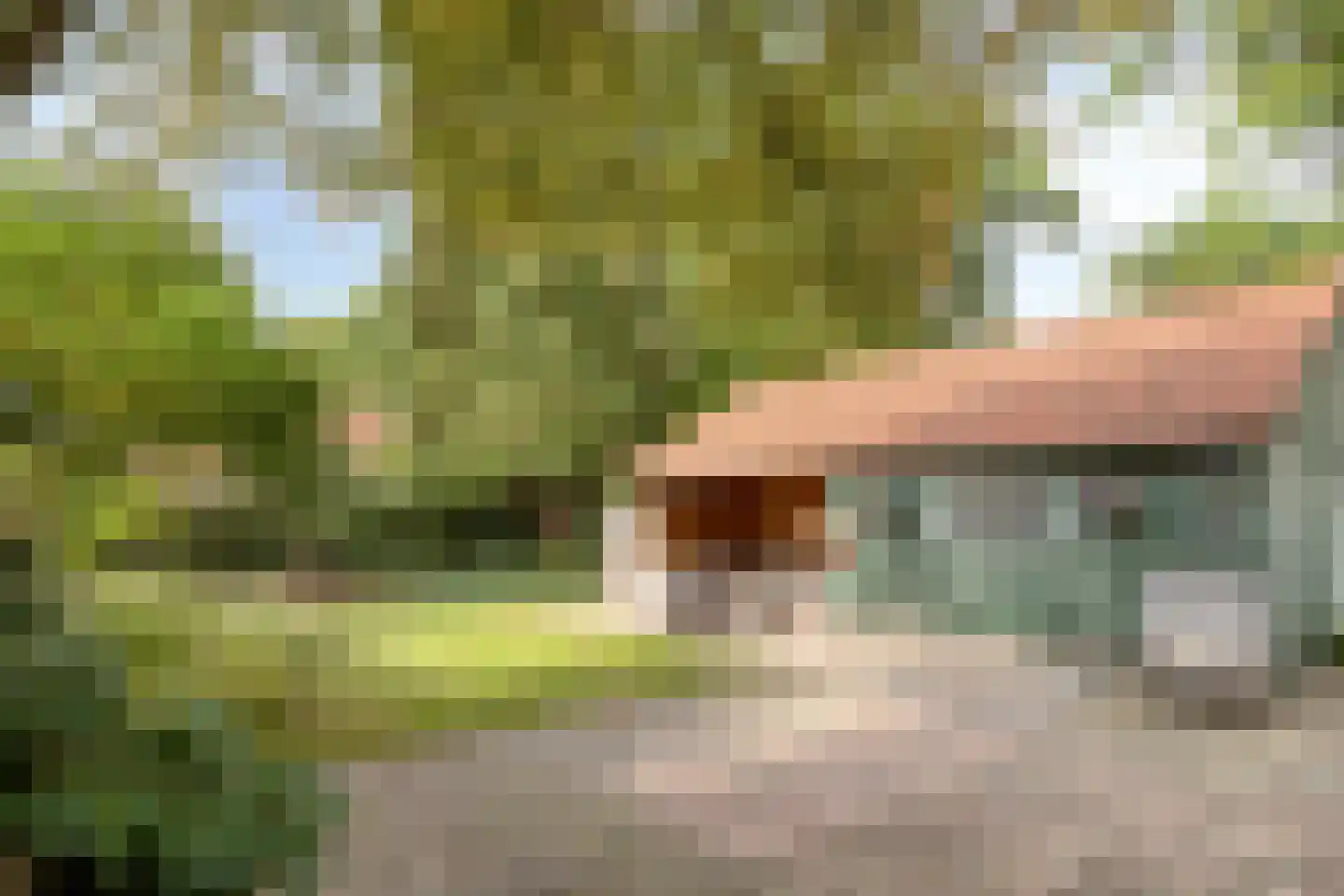 Jan Cellierslaan 4 Eindhoven thumbnail 9