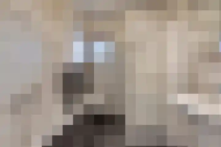 Jan Coolenhof 31 Gameren thumbnail 23