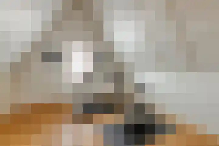 Jan Coolenhof 31 Gameren thumbnail 27