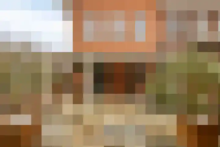 Jan Coolenhof 31 Gameren thumbnail 30