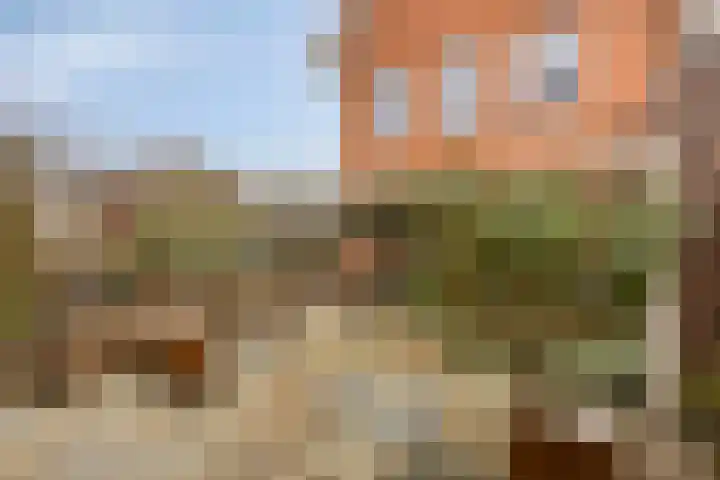 Jan Coolenhof 31 Gameren thumbnail 31
