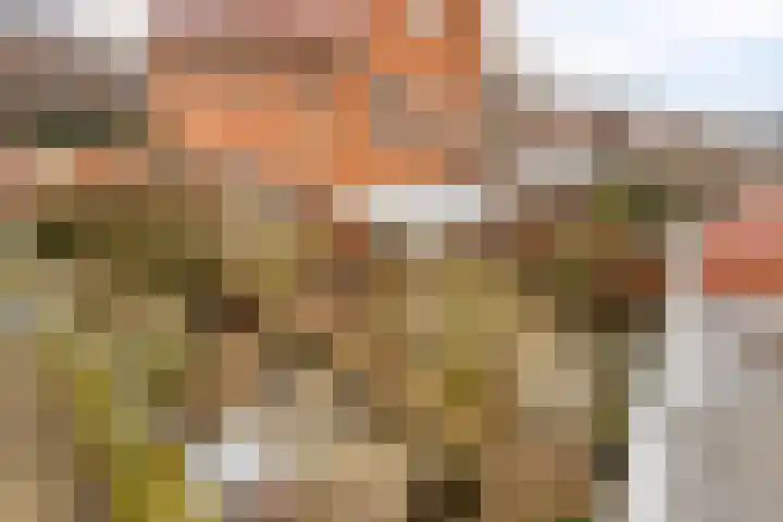 Jan Coolenhof 31 Gameren thumbnail 35