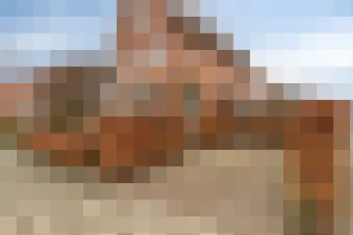 Jan Coolenhof 31 Gameren thumbnail 4
