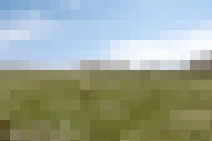 Jan Coolenhof 31 Gameren thumbnail 45