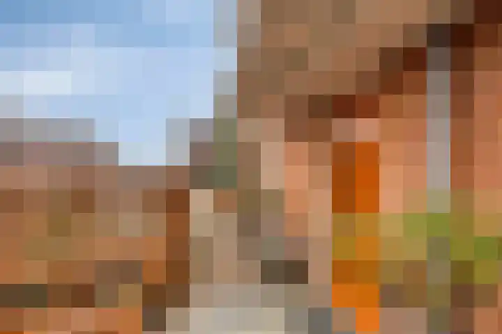 Jan Coolenhof 31 Gameren thumbnail 5