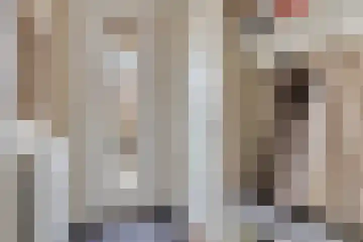 Jan Coolenhof 31 Gameren thumbnail 6