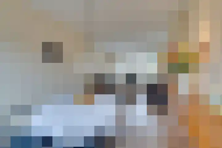 Jan Cornelisz. Rijpstraat 10 De Rijp thumbnail 13