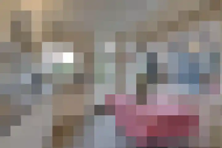 Jan Cornelisz. Rijpstraat 10 De Rijp thumbnail 15