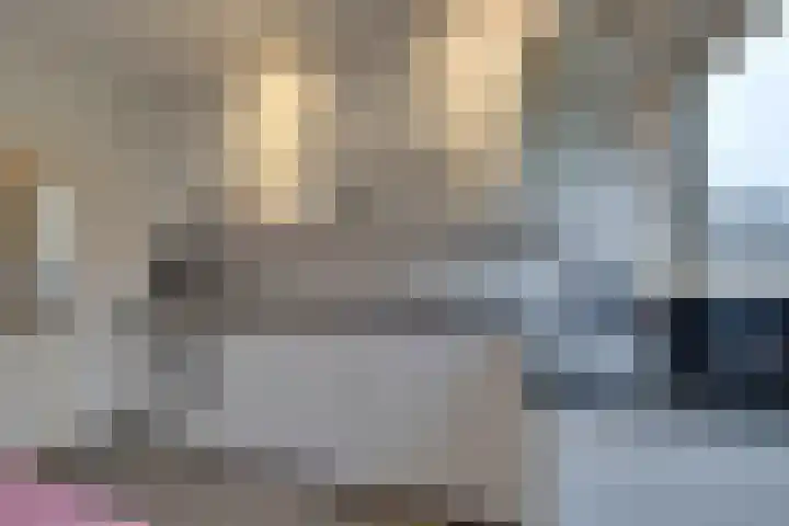 Jan Cornelisz. Rijpstraat 10 De Rijp thumbnail 17