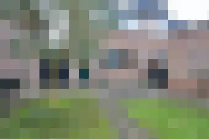 Jan Cornelisz. Rijpstraat 10 De Rijp thumbnail 23