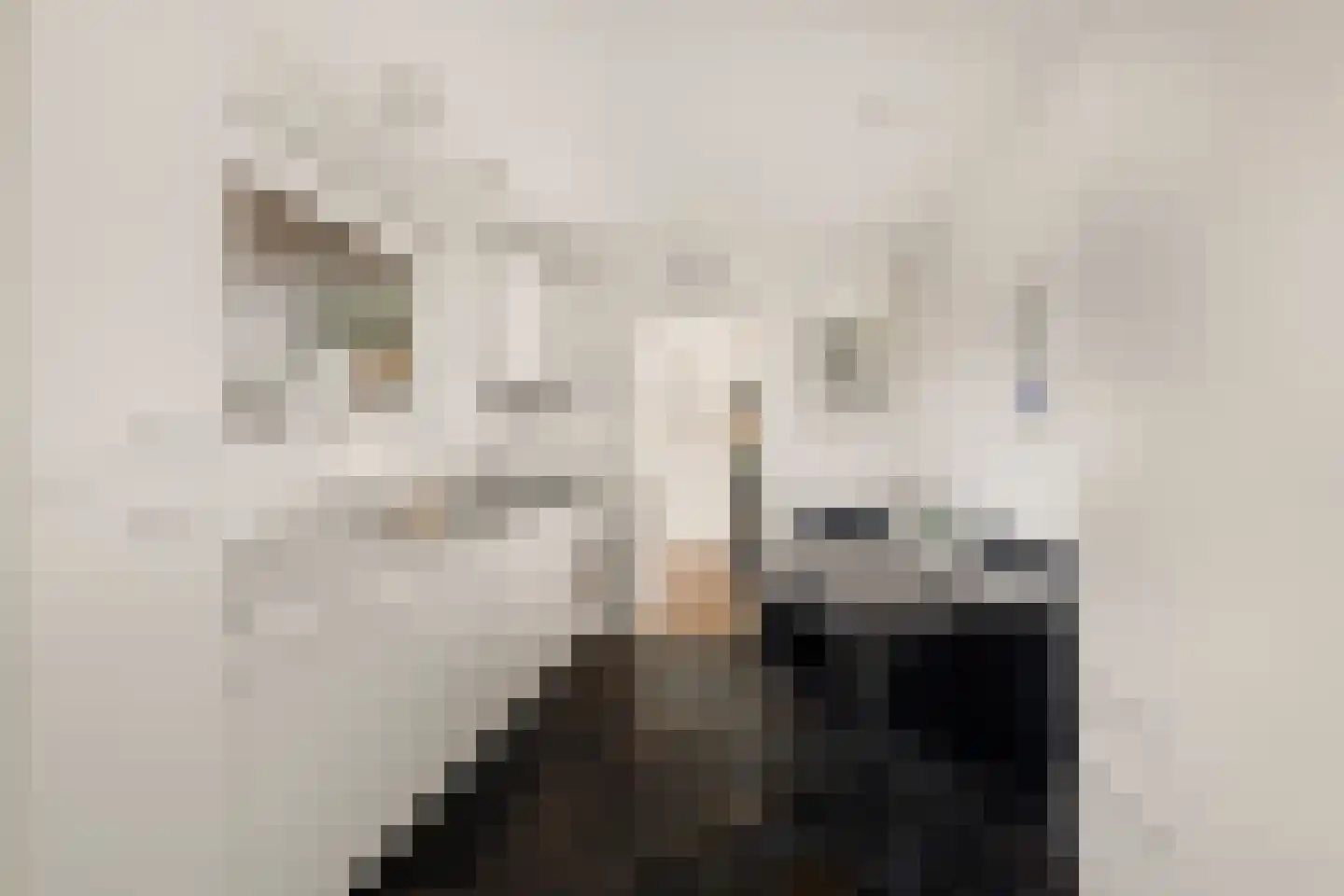 Jan Cornelisz. Rijpstraat 8 De Rijp thumbnail 12