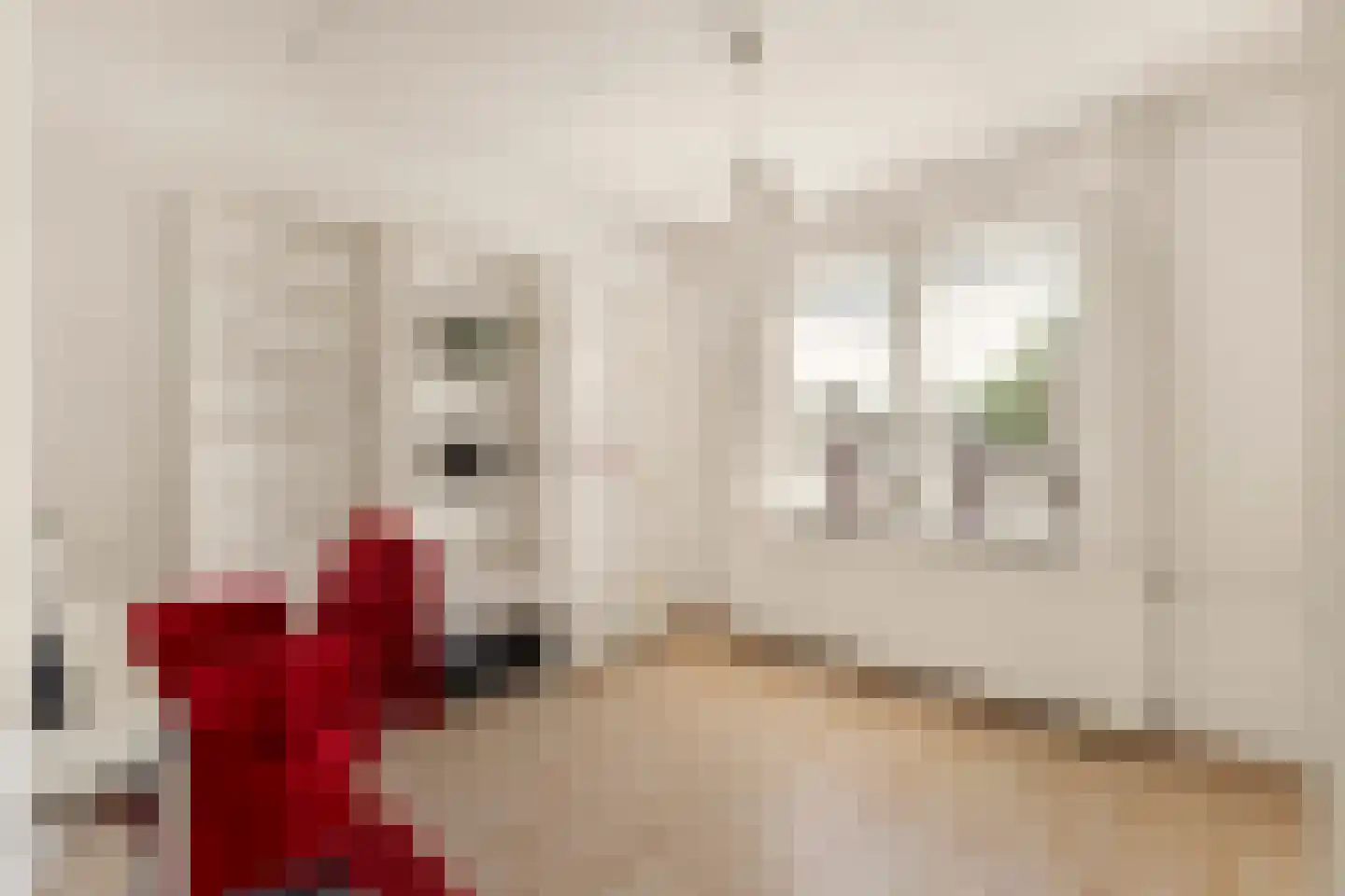 Jan Cornelisz. Rijpstraat 8 De Rijp thumbnail 16