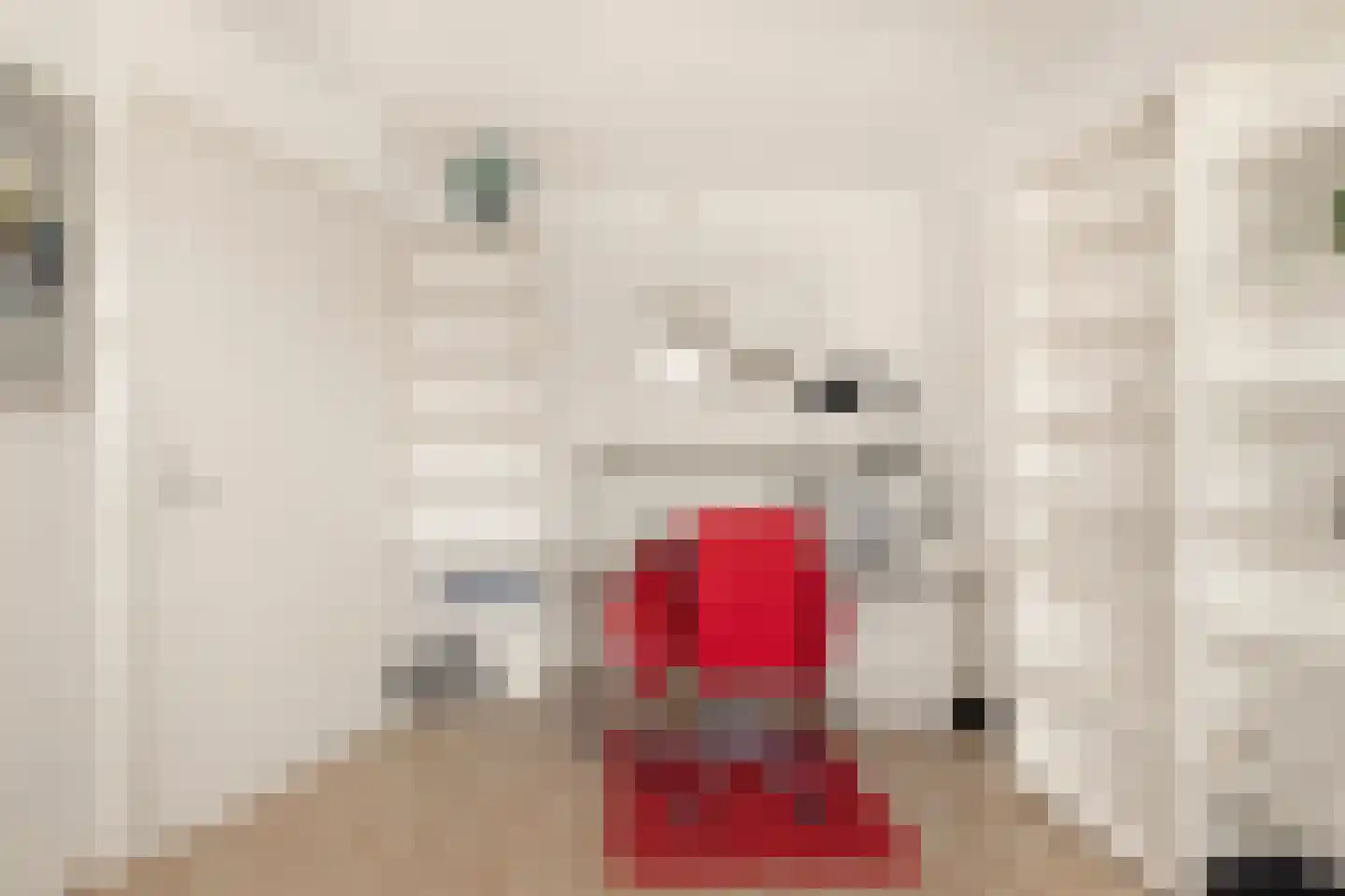 Jan Cornelisz. Rijpstraat 8 De Rijp thumbnail 17