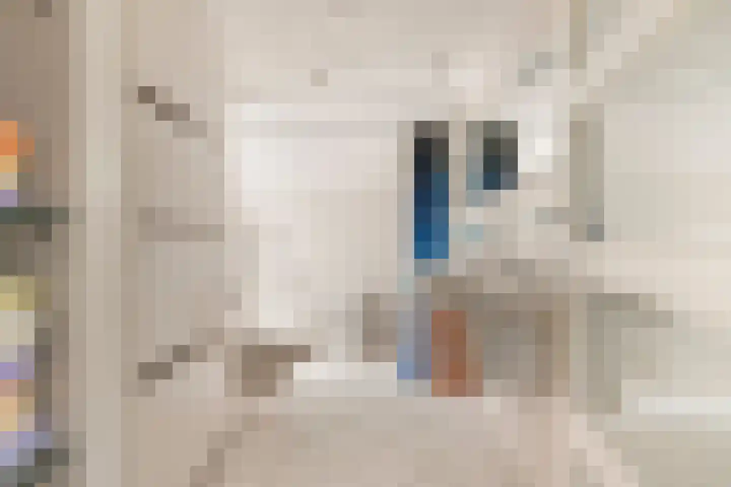 Jan Cornelisz. Rijpstraat 8 De Rijp thumbnail 23