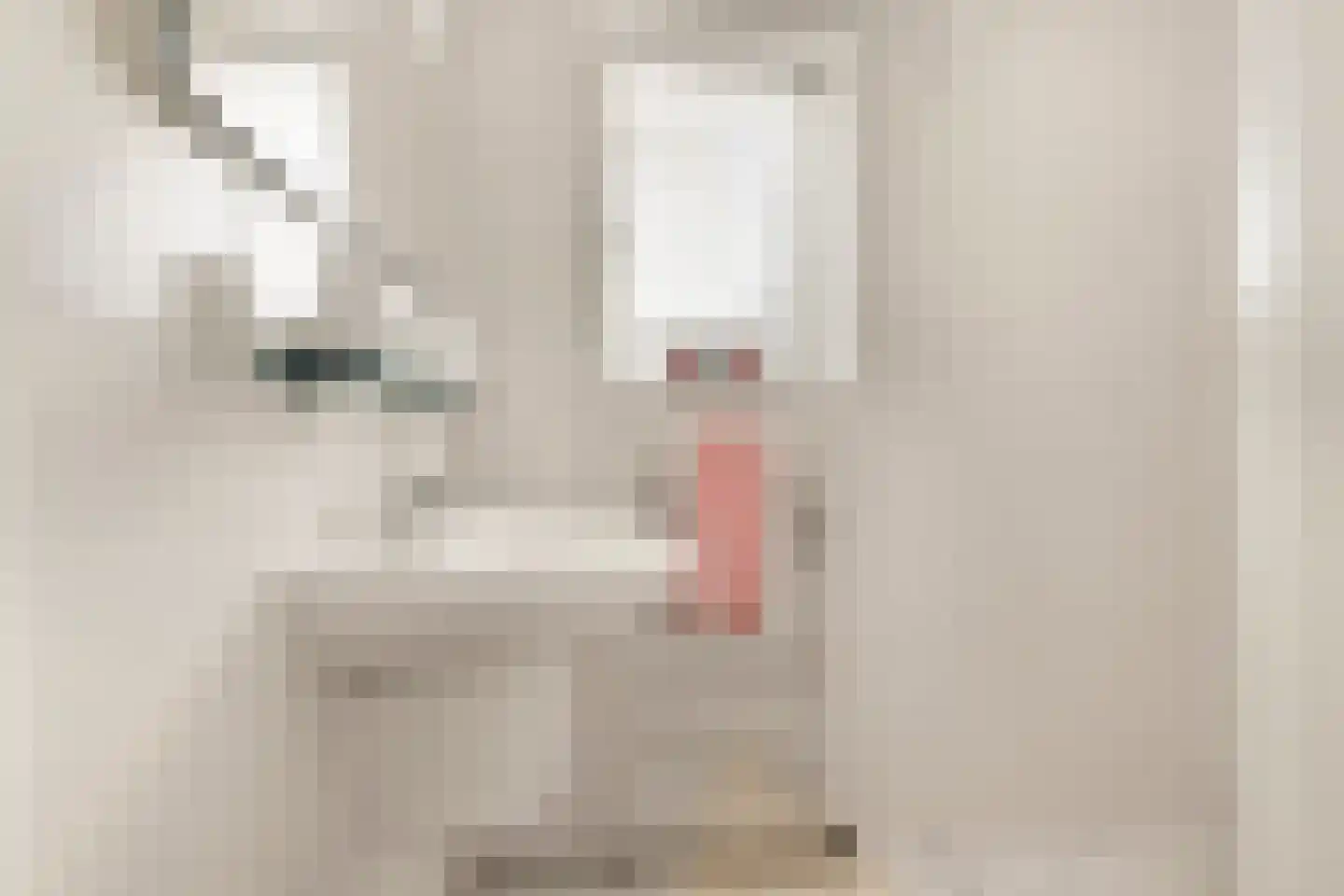 Jan Cornelisz. Rijpstraat 8 De Rijp thumbnail 29