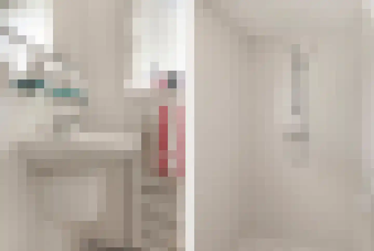 Jan Cornelisz. Rijpstraat 8 De Rijp thumbnail 30